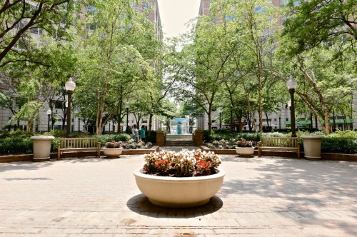 Courtyard  