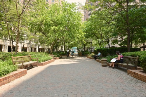 Courtyard  