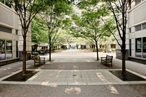 Walkway Between 4301 & 4401  